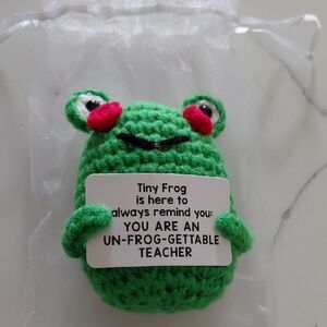 Source Unknown Green Frog Teacher Gift